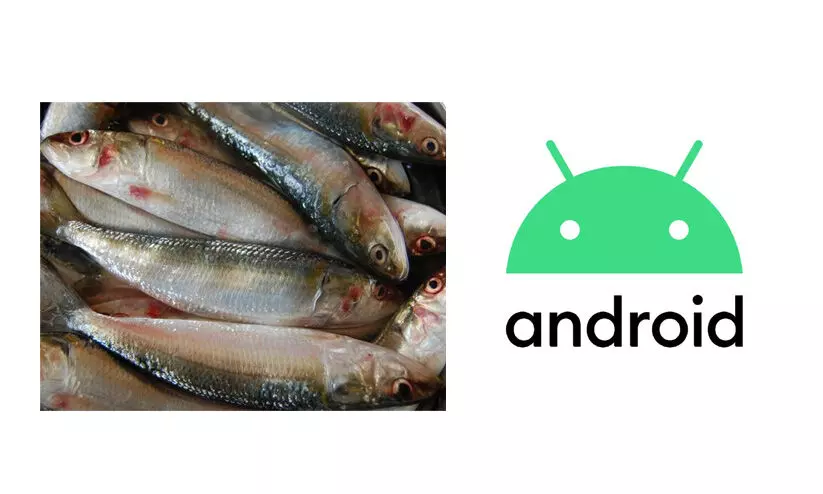 വീട്ടുപടിക്കല് മത്സ്യമെത്തിക്കാന് മിമി ആപ്പുമായി ഫിഷറീസ് വകുപ്പ് വീട്ടുപടിക്കല് മത്സ്യമെത്തിക്കാന് മിമി ആപ്പുമായി ഫിഷറീസ് വകുപ്പ്