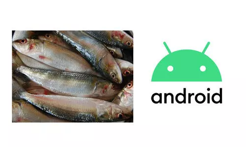 വീട്ടുപടിക്കല്‍ മത്സ്യമെത്തിക്കാന്‍ മിമി ആപ്പുമായി ഫിഷറീസ് വകുപ്പ്