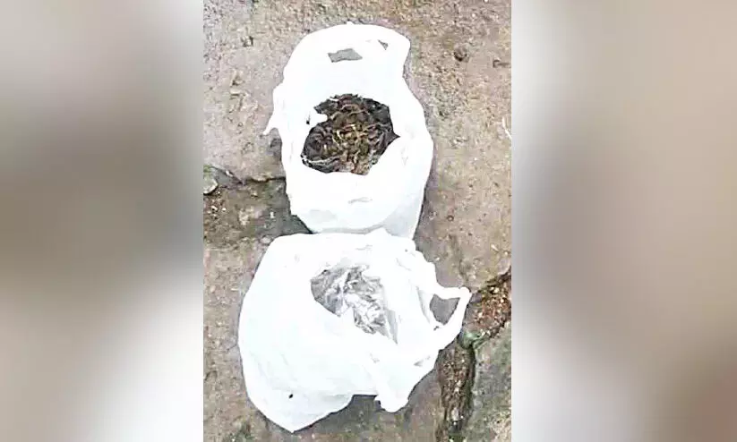 പടിഞ്ഞാറൻ കൊച്ചിയിൽ മയക്കുമരുന്ന് മാഫിയ പിടിമുറുക്കി പടിഞ്ഞാറൻ കൊച്ചിയിൽ മയക്കുമരുന്ന് മാഫിയ പിടിമുറുക്കി