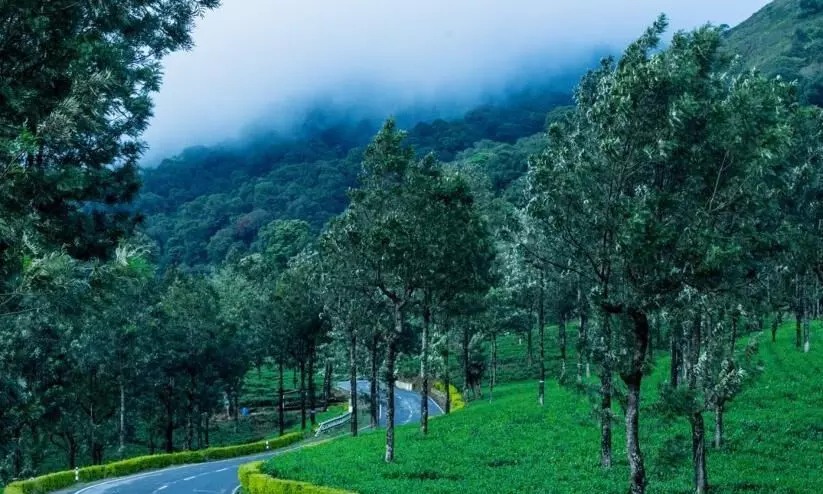 കുടകിൽ നിയന്ത്രണങ്ങൾ നീക്കി; ടൂറിസം കേന്ദ്രങ്ങൾ തുറന്നു കുടകിൽ നിയന്ത്രണങ്ങൾ നീക്കി; ടൂറിസം കേന്ദ്രങ്ങൾ തുറന്നു