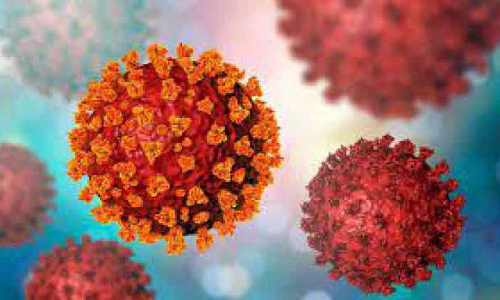 കോവിഡ്​ പ്രതിസന്ധിയിലും ശുഭാപ്​തി വിശ്വാസത്തോടെ ബിസിനസ്​ സമൂഹം