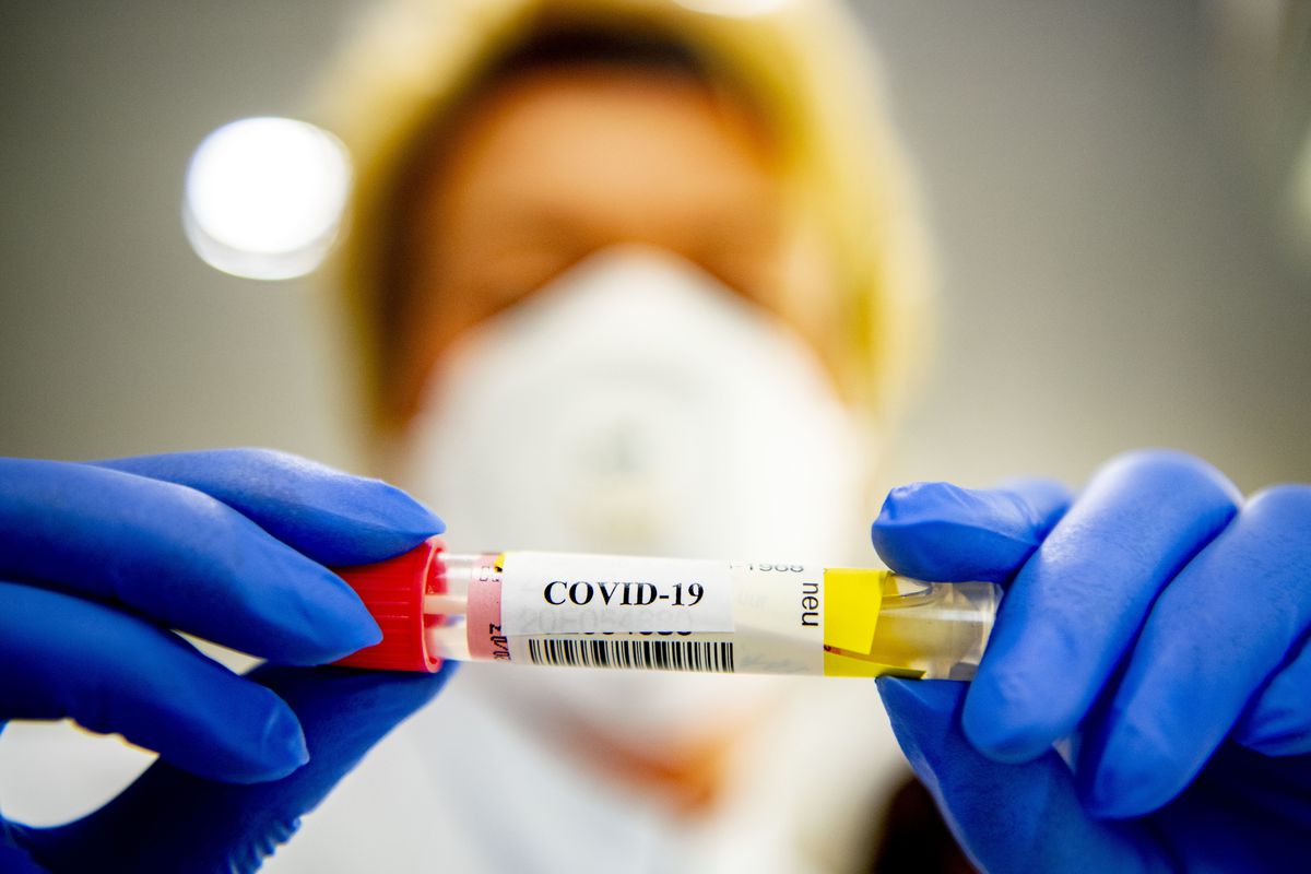 കോവിഡ്; സൗദിയിൽ ഇന്ന് 1293 പുതിയ രോഗികളും 1453 രോഗമുക്തിയും കോവിഡ്; സൗദിയിൽ ഇന്ന് 1293 പുതിയ രോഗികളും 1453 രോഗമുക്തിയും