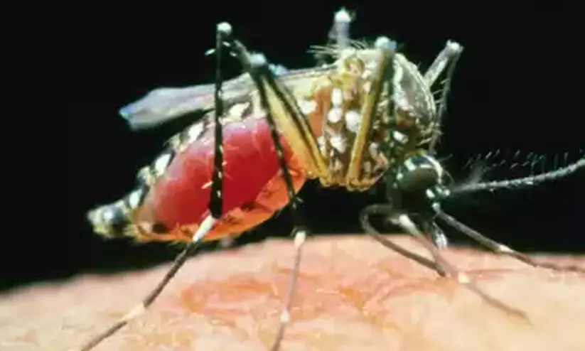 എറണാകുളത്തും സിക വൈറസ്