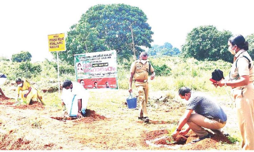 കോയേലിമലയിൽ കുട്ടിവനം ഒരുങ്ങുന്നു മാലിന്യം തള്ളാതിരിക്കാൻ കാമറ