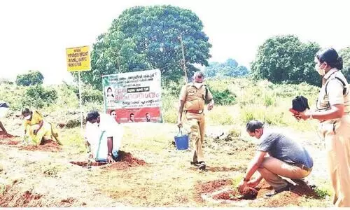 കോയേലിമലയിൽ കുട്ടിവനം ഒരുങ്ങുന്നു മാലിന്യം തള്ളാതിരിക്കാൻ കാമറ