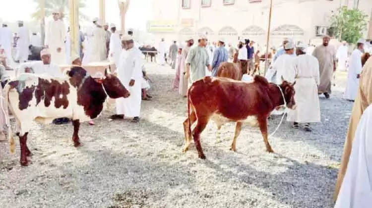 ഇൗ വർഷം ഹബ്ത ചന്തകൾ ഒാൺലൈനിൽ ഇൗ വർഷം ഹബ്ത ചന്തകൾ ഒാൺലൈനിൽ