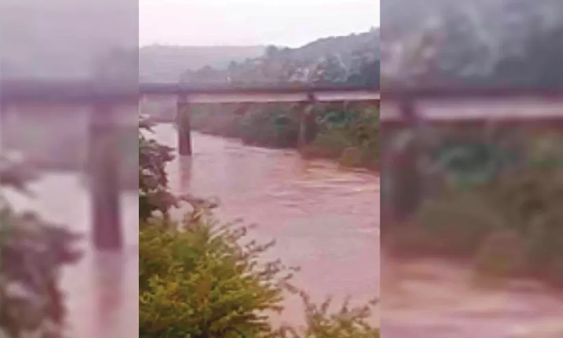 thejaswini 14721 thejaswini 14721