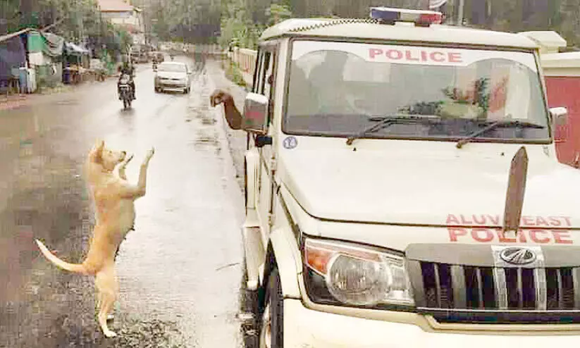 Dog saluting police-viral photo