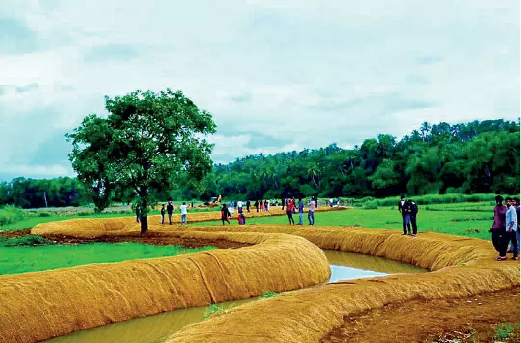 പാതിവഴിയിൽ ഉപേക്ഷിച്ച് കയർ ഭൂവസ്ത്രം; വേങ്ങരയിൽ പാഴായത് ലക്ഷങ്ങൾ പാതിവഴിയിൽ ഉപേക്ഷിച്ച് കയർ ഭൂവസ്ത്രം; വേങ്ങരയിൽ പാഴായത് ലക്ഷങ്ങൾ