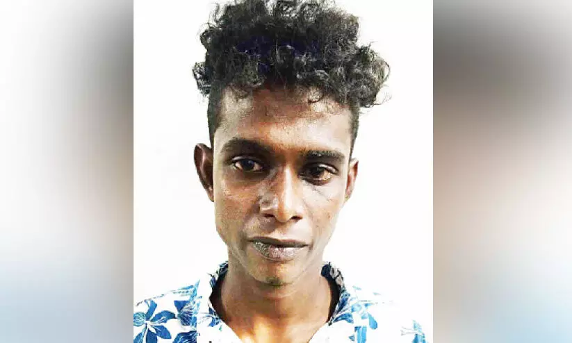 tinto-theft case defendant tinto-theft case defendant