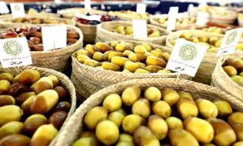 ലിവ ഈത്തപ്പഴോത്സവം ഇന്ന് തുടങ്ങും