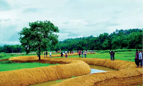 പാതിവഴിയിൽ ഉപേക്ഷിച്ച്​ കയർ ഭൂവസ്ത്രം; വേങ്ങരയിൽ പാഴായത് ലക്ഷങ്ങൾ