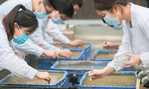 വിത്ത്​ ബഹിരാകാശ യാത്ര നടത്തിയാൽ വിളവ്​ കൂടുമോ? ചൈനയു​ടെ പുതിയ പരീക്ഷണം ഇങ്ങനെ