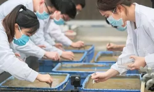 വിത്ത്​ ബഹിരാകാശ യാത്ര നടത്തിയാൽ വിളവ്​ കൂടുമോ? ചൈനയു​ടെ പുതിയ പരീക്ഷണം ഇങ്ങനെ