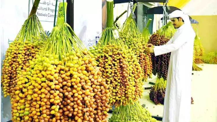 ലിവ ഈന്തപ്പഴോത്സവത്തിന് തുടക്കം