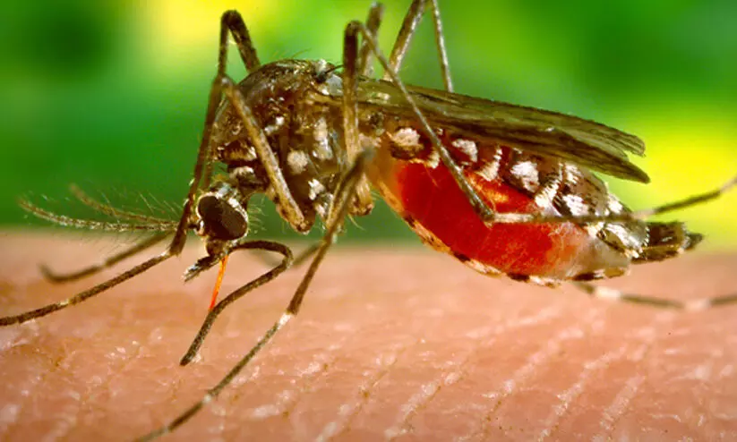 സംസ്ഥാനത്ത് രണ്ട് പേര്‍ക്ക് കൂടി സിക