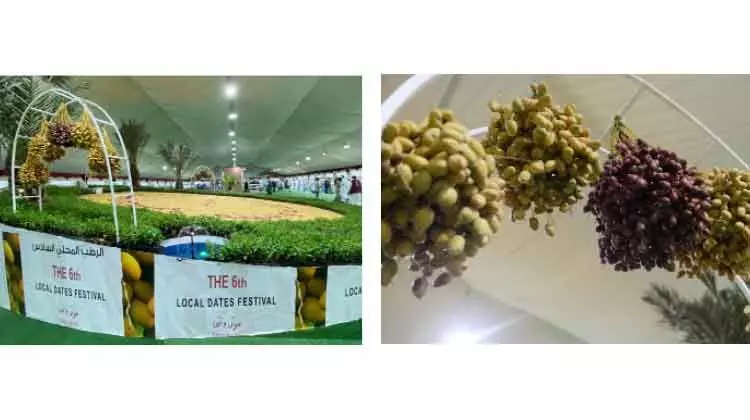 ഇൗത്തപ്പഴം പൂത്തകാലം