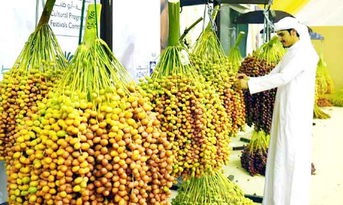 ലിവ ഈന്തപ്പഴോത്സവത്തിന് തുടക്കം