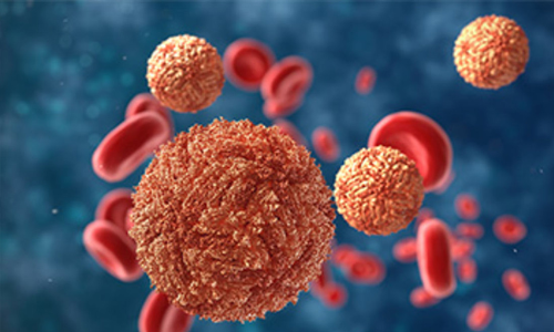 സിക പ്രതിരോധം; ഗര്‍ഭസ്ഥ ശിശുക്കളിലെ വൈകല്യങ്ങള്‍ സംബന്ധിച്ച വിവരങ്ങള്‍ ശേഖരിക്കും