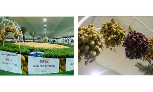 ഇൗത്തപ്പഴം പൂത്തകാലം