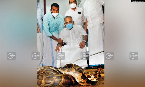 നന്ദി; വീണ്ടും വരരുത്; തലക്ക്​ പരിക്കേറ്റ്​ ഒമ്പതു മാസം ചികിത്സയിലായിരുന്ന പെരുമ്പാമ്പിനെ കാട്ടിലേക്ക്​ വിടും