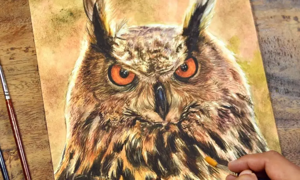 owl 17721