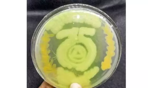 അഗാർ ആർട്ട്: പ്ലാറ്റിനം ജൂബിലി വർഷത്തിൽ എസ്.ഡി കോളജിന് വ്യത്യസ്ത ആദരമൊരുക്കി ബോട്ടണി വിഭാഗം