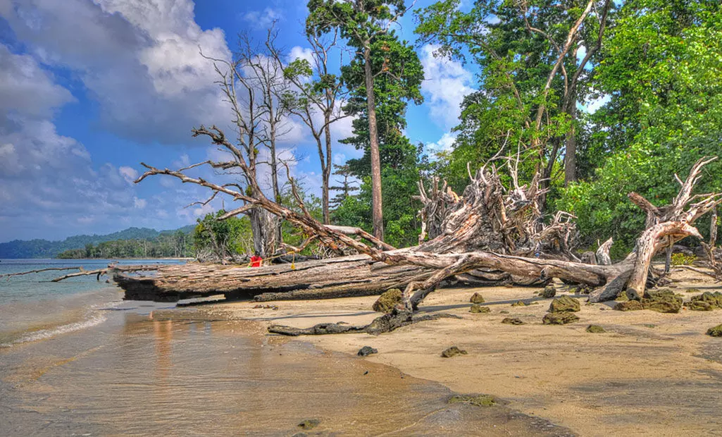 ലക്ഷദ്വീപിൽനിന്ന് ചരക്കുനീക്കം ബേപ്പൂരിലേക്ക് തന്നെ; മംഗളൂരുവിലേക്ക് മാറ്റില്ലെന്ന് മന്ത്രി ലക്ഷദ്വീപിൽനിന്ന് ചരക്കുനീക്കം ബേപ്പൂരിലേക്ക് തന്നെ; മംഗളൂരുവിലേക്ക് മാറ്റില്ലെന്ന് മന്ത്രി