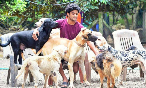 തെരുവിൽ മുറിപ്പെട്ട നായ്ക്കൾക്ക്​ ആലയമാണ്​  സാമി​െൻറ ഈ ഭൂമി