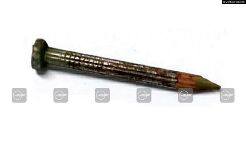 ഒ​ന്ന​ര വ​യ​സ്സു​കാ​ര​ൻ ഇരുമ്പാണി വി​ഴു​ങ്ങി; അതിസ​ങ്കീ​ര്‍ണ​മാ​യ ശ​സ്ത്ര​ക്രി​യയിലുടെ  ഒടുവിൽ പുറത്തെടുത്ത്​