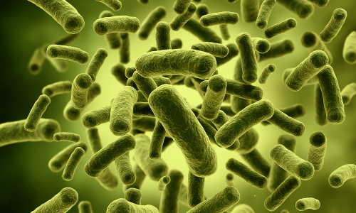 അതിസാരവും ഛർദിയും:കൂടുതലിടങ്ങളിൽ  കോളിഫോം ബാക്​ടീരിയ കണ്ടെത്തി