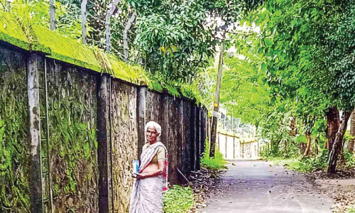 ആ​ഫ്രി​ക്ക​ൻ ഒ​ച്ചു​ക​ളോ​ട് പോരാടി സി​സി​ലിയുടെ ജീവിതം