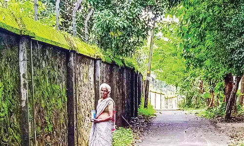 ആ​ഫ്രി​ക്ക​ൻ ഒ​ച്ചു​ക​ളോ​ട് പോരാടി സി​സി​ലിയുടെ ജീവിതം