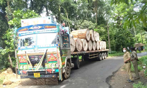 ഗൂഗ്​ൾമാപ്​ പണികൊടുത്തു; കയറ്റത്ത്​ കുടുങ്ങി ​െട്രയിലർ