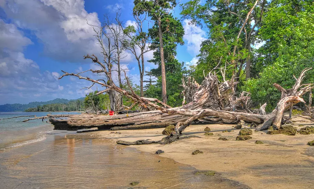 ലക്ഷദ്വീപിൽനിന്ന്​ ചരക്കുനീക്കം ബേപ്പൂരിലേക്ക്​ തന്നെ; മംഗളൂരുവിലേക്ക്​ മാറ്റില്ലെന്ന്​ മന്ത്രി