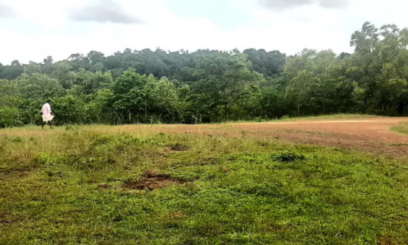 ഗ്രാമീണമേഖലയില്‍ ഭീതി പരത്തി ലഹരിസംഘങ്ങൾ