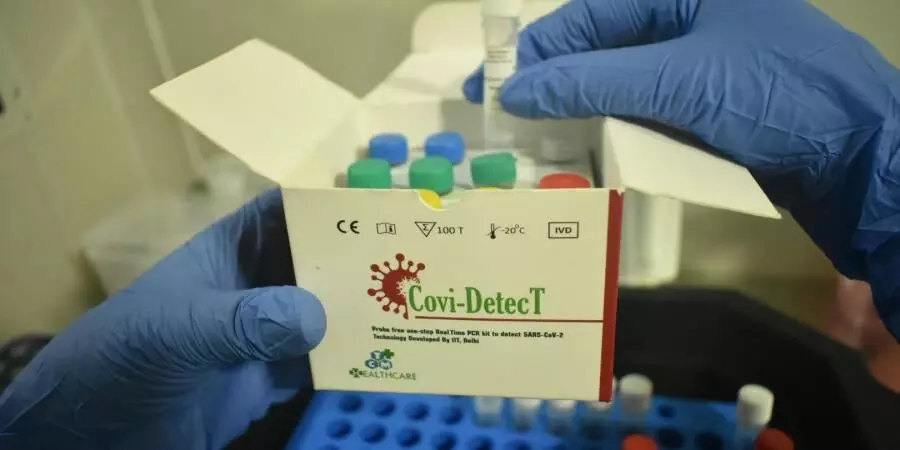 covid test covid test