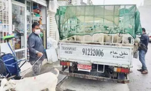 ബ​ലി​യ​ർ​പ്പി​ക്കാ​നു​ള്ള ആ​ടു​ക​ളു​ടെ വി​ൽ​പ​ന സ​ജീ​വം