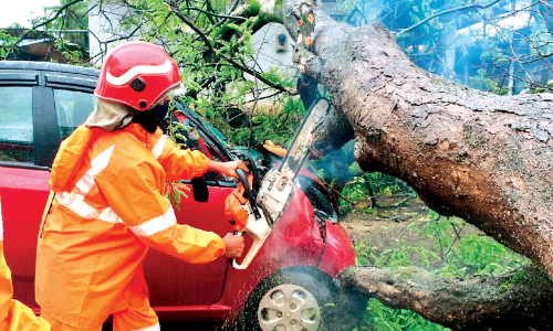 കാറിനു മുകളിൽ മരം വീണു; അ​ക​ത്ത്​ കു​ടു​ങ്ങി​യ​യാ​ളെ ര​ക്ഷ​പ്പെ​ടു​ത്തി