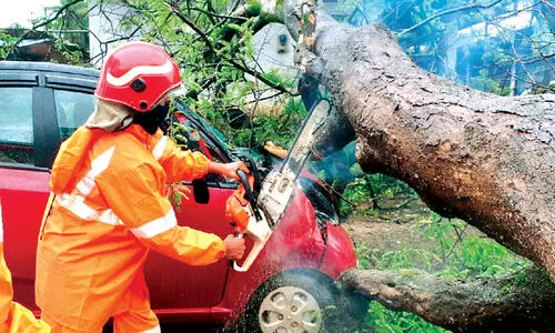 കാറിനു മുകളിൽ മരം വീണു; അ​ക​ത്ത്​ കു​ടു​ങ്ങി​യ​യാ​ളെ ര​ക്ഷ​പ്പെ​ടു​ത്തി