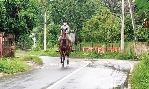 പി​താ​വ് വാ​ക്ക് പാ​ലി​ച്ചു; മ​ക​ന് സ​മ്മാ​ന​മാ​യി ന​ല്‍കി​യ​ത് കു​തി​ര