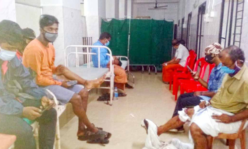 തലശ്ശേരിയിൽ 27 പേർക്ക് നായുടെ​ കടിയേറ്റു