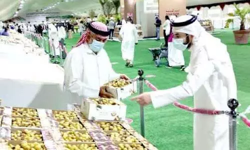 ഇൗത്തപ്പഴ ഉൽപാദനം 27,000 ടൺ