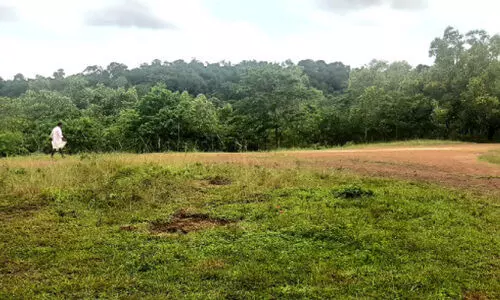 ഗ്രാമീണമേഖലയില്‍ ഭീതി പരത്തി ലഹരിസംഘങ്ങൾ