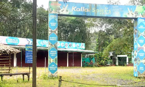 കണ്ണീർ മൂടലിൽ മൂന്നാർ