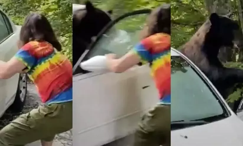 Man Scares Away Trapped Bear That Broke Into His Car By Risking His Life