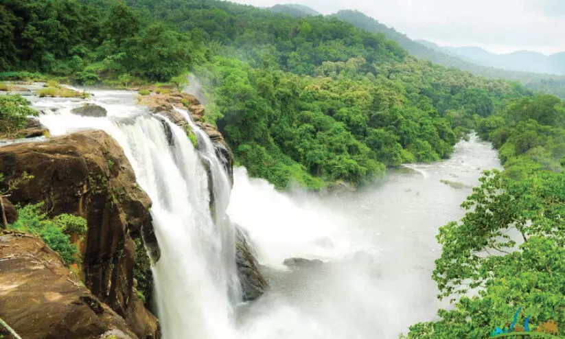 പ്രചാരണം തെറ്റ്; അതിരപ്പിള്ളി വ്യൂ പോയൻറിൽ സന്ദർശകർക്ക് പ്രവേശനമില്ല പ്രചാരണം തെറ്റ്; അതിരപ്പിള്ളി വ്യൂ പോയൻറിൽ സന്ദർശകർക്ക് പ്രവേശനമില്ല