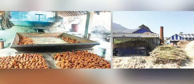 വിപണിയിൽ മറയൂർ ശർക്കരയുടെ വ്യാജൻ വിലസുന്നു വിപണിയിൽ മറയൂർ ശർക്കരയുടെ വ്യാജൻ വിലസുന്നു