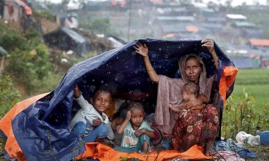rohingya