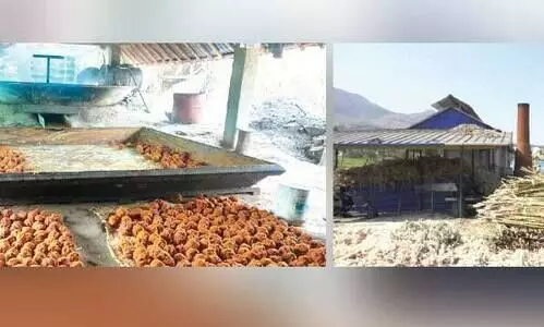 വിപണിയിൽ മറയൂർ ശർക്കരയുടെ  വ്യാജൻ വിലസുന്നു